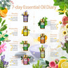 Vanilla oil  Pure Essential Oils  Natural plant extracts oils  Mint oil  Lavender oil  Eucalyptus oil  Essential oils  Aromatherapy  Aroma Essential Oil